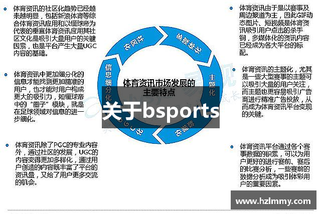 关于bsports